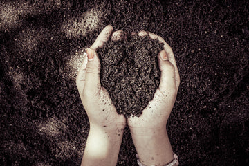 Hands holding dark crumbly soil-like compost for garden use