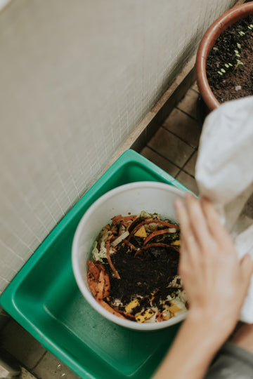Hands adding food scraps into an indoor compost bin, representing a practical Sunefun daily feeding rhythm